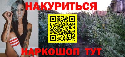 прущие грибы Будённовск