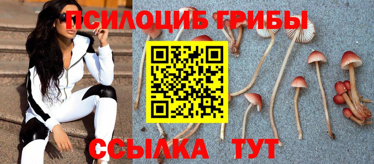 Галлюциногенные грибы Psilocybe  Псилоцибиновые грибы Psilocybine cubensis  как найти закладки  Шумерля  Вход с VPN 